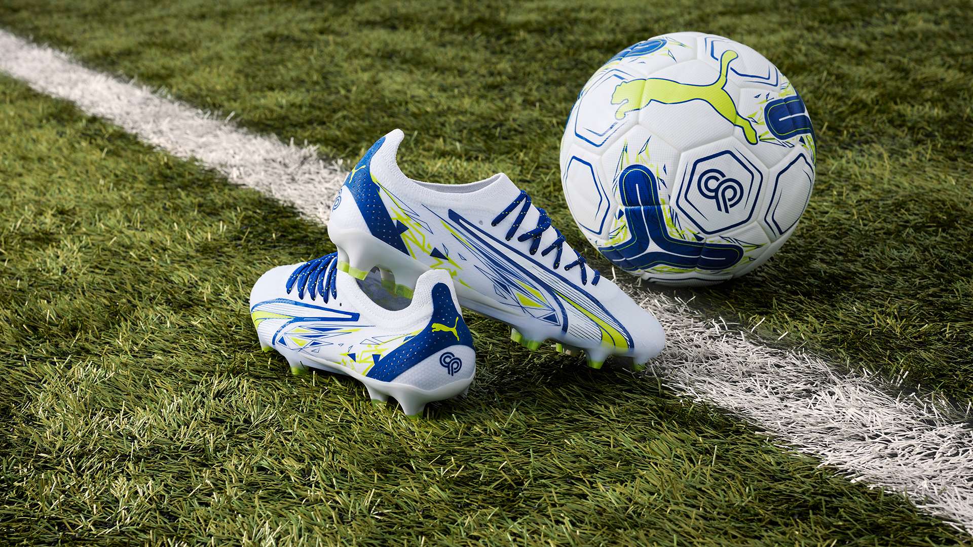 也体现于培 也体现于培