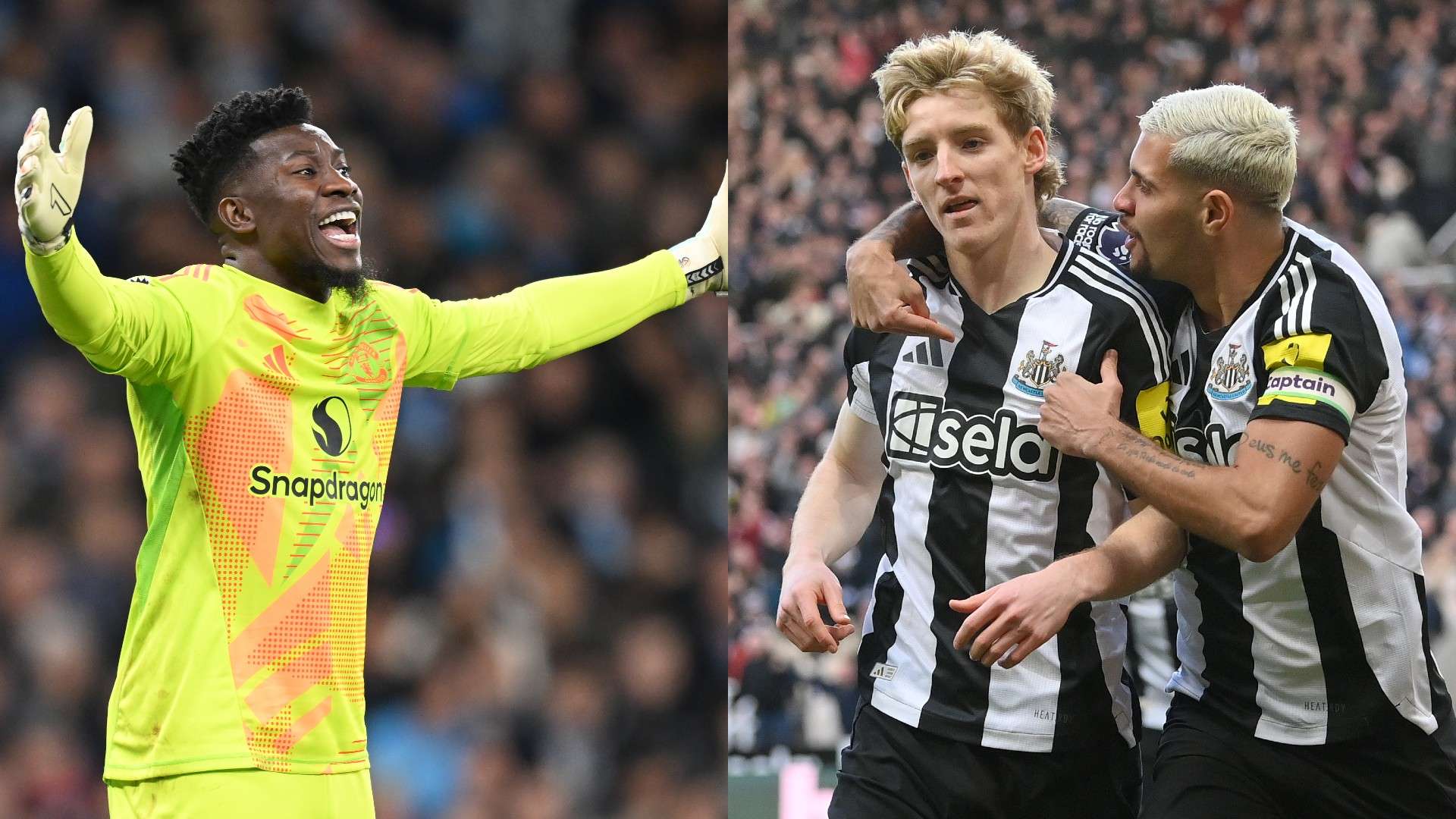 施羅德的舉 施羅德的舉